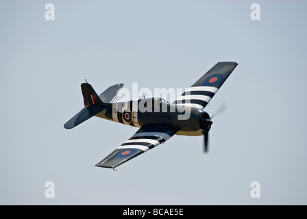 Un Grumman F6F Hellcat vole à un spectacle aérien. Banque D'Images