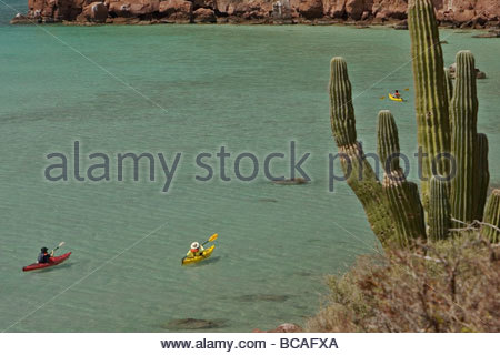 Kayak, Isla Espiritu Santo, Baja California, au Mexique. Banque D'Images