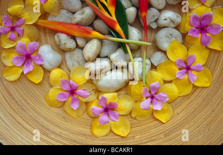 Frangipani et Heliconia fleurs flottant dans un bol en céramique. Banque D'Images