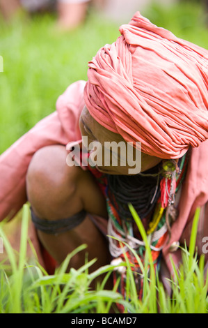 Vieux Pwo Karen hill tribe femme travaillant avec des plants de riz pendant la saison de repiquage en Thaïlande du nord Banque D'Images