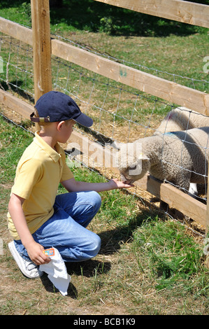 Enfant avec des moutons, Musée de Kent Life, Maidstone, Maidstone, Kent, Angleterre, Royaume-Uni Banque D'Images