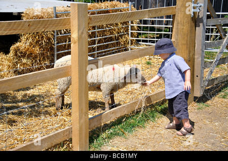 Enfant avec des moutons, Musée de Kent Life, Maidstone, Maidstone, Kent, Angleterre, Royaume-Uni Banque D'Images