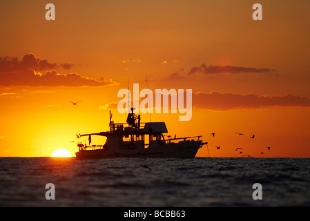 Chalutier de pêche au coucher du soleil Banque D'Images