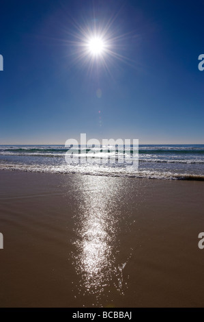 Soleil qui brille dans le ciel bleu sur beach Banque D'Images