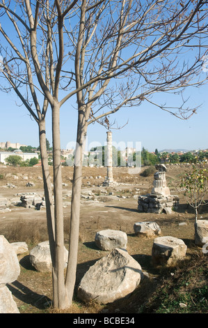 Temple d'Artémis Ephèse Turquie Banque D'Images