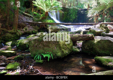 Russell Falls Mount Field National Park,la Tasmanie. Banque D'Images