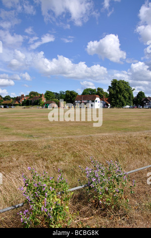 Match de cricket, Ripley vert, Ripley, Surrey, Angleterre, Royaume-Uni Banque D'Images