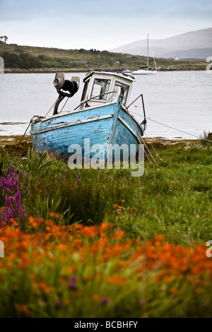 Crocosmia croître autour d'un vieux bateau abandonné, Roundstone, Connemara, République d'Irlande Banque D'Images