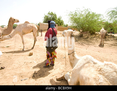 Le Burkina Faso. Sahel. Gorom-Gorom touaregs. Banque D'Images