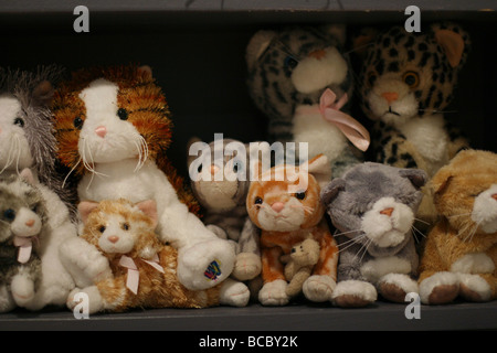 Une bande de chat Peluche jouets sur une étagère. Banque D'Images