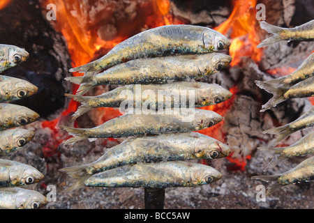 L'Espagne ou des brochettes de sardines espetos barbecueing sur feu ouvert Banque D'Images