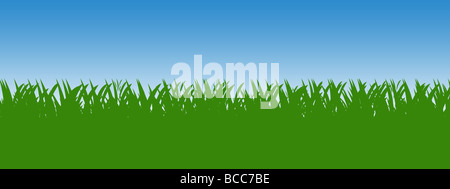 Fond d'herbe verte avec ciel bleu isolated over white Banque D'Images