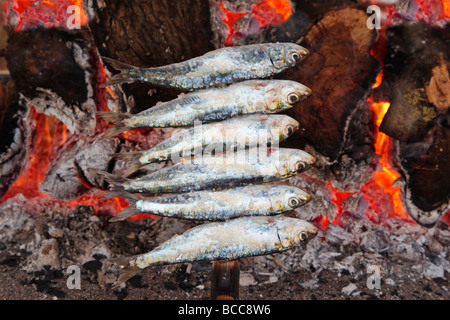 L'Espagne ou des brochettes de sardines espetos barbecueing sur feu ouvert Banque D'Images