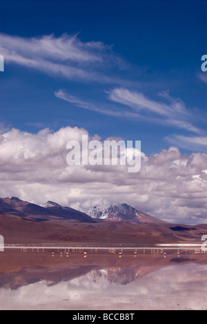 La Laguna Colorada (rouge) au sein de la faune andine Eduardo Avaroa réserve nationale en Bolivie Banque D'Images