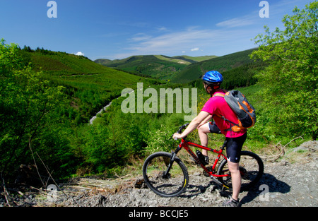 Cycliste à la recherche à vue sur la forêt à la recherche de Tarren Dyfi Hills Powys Pays de Galles UK Banque D'Images