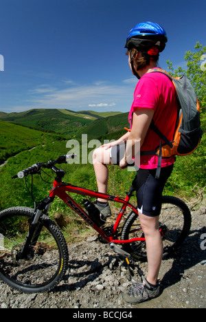 Cycliste à la recherche à vue sur la forêt à la recherche de Tarren Dyfi Hills Powys Pays de Galles UK Banque D'Images