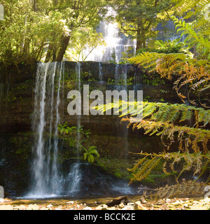 Russell Falls Mount Field National Park, Tasmanie, Australie. Banque D'Images