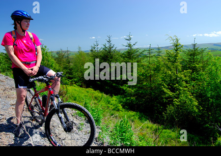 Cycliste à la recherche à vue sur la forêt à la recherche de Tarren Dyfi Hills Powys Pays de Galles UK Banque D'Images