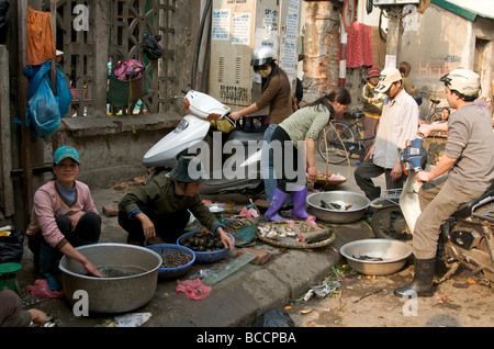 La terrasse d'un stand vendant des châtaignes d'eau et le poisson-chat en direct dans la vieille ville d'Hanoi Banque D'Images