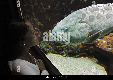 Femme regardant des gros poissons dans un aquarium Banque D'Images