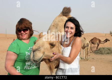 Tame camel Dubai Banque D'Images