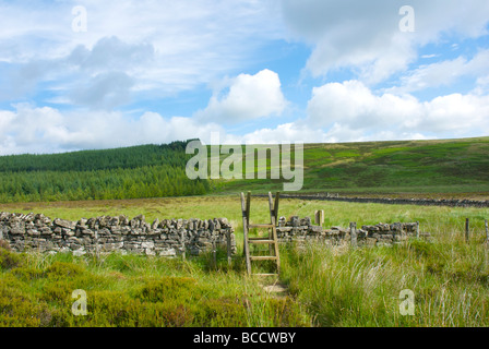 Sur l'échelle stile Pennine Way près de Bellingham, Parc National de Northumberland, England UK Banque D'Images