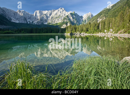 MANGRT reflétée dans la montagne au lac Lagi di Fusine. Alpes juliennes. Italie Banque D'Images