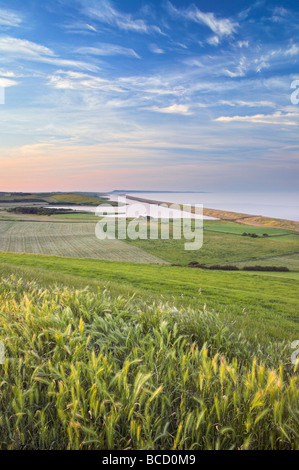 La flotte & Chesil Beach avec vue sur l'Île de Portland. La côte jurassique. UNESCO World Heritage Site. Abbotsbury. Dorset Banque D'Images