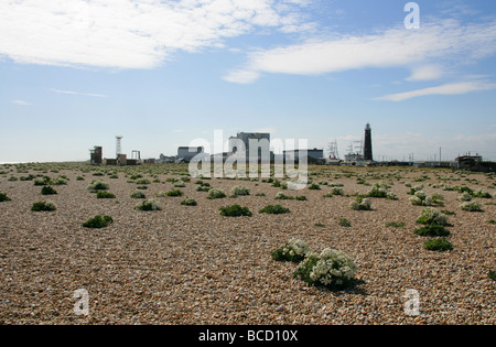 Centrale nucléaire de Dungeness et l'ancien phare, Dungeness, Kent Banque D'Images