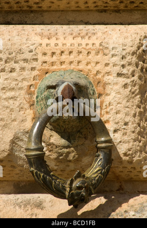 Une tête blanche un grand anneau de métal dans son bec. Monté sur le mur de l'Alhambra, Grenade, Espagne Banque D'Images