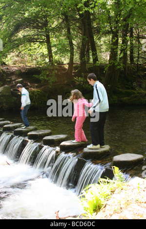 Enfants jouant sur les pierres de gué sur la rivière Shimna, Tollymore Forest Park, comté de Down, Irlande du Nord Banque D'Images