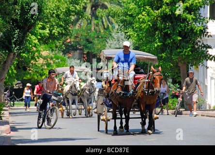 ISTANBUL, TURQUIE. Des chevaux et des vélos sur l'île des Princes de Frederikshavn dans la mer de Marmara. L'année 2009. Banque D'Images