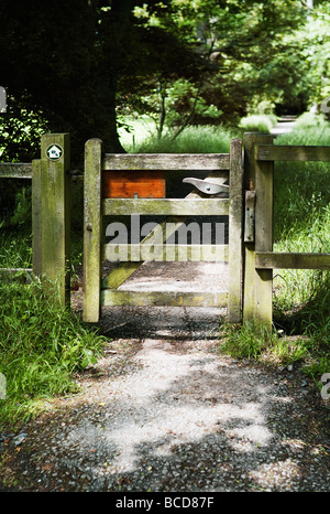 Le cœur de l'Angleterre en passant par sentier de grande forêt dans le Warwickshire Banque D'Images