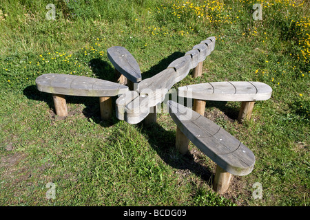 Banc de libellules. Lee Valley nature reserve, Lee Valley Regional Park, London, England, UK Banque D'Images