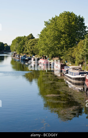 Canal boats on River Lee par Springfield Marina. Lee Valley Regional Park, London, England, UK Banque D'Images