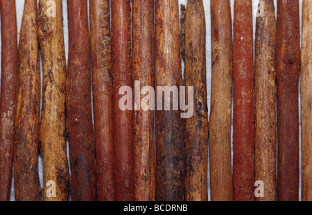 Les chevilles en bois teinté d'ocre à partir de la Dja Dja Wurrung tribu. Banque D'Images