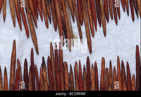 Les chevilles en bois teinté d'ocre à partir de la Dja Dja Wurrung tribu. Banque D'Images