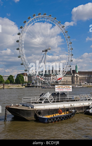 Le London Eye, ou roue du millénaire sur la rive sud de la Tamise, Londres, Angleterre. Banque D'Images