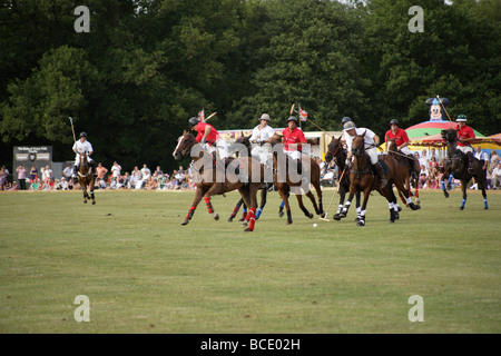 Polo match,l'Angleterre contre l'Argentine Banque D'Images