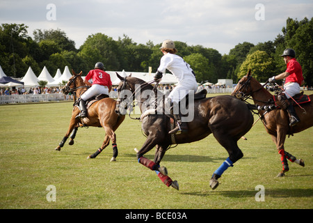 Polo match,l'Angleterre contre l'Argentine Banque D'Images