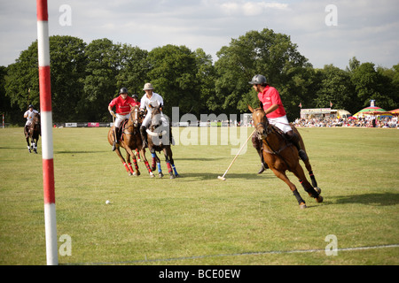 Polo match,tourné au but à l'extérieur de l'été réalisation,l'Angleterre contre l'Argentine Banque D'Images