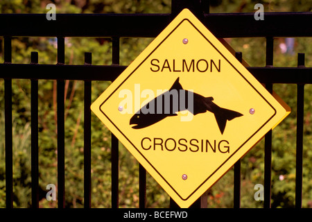 Poisson saumon Crossing Sign Banque D'Images