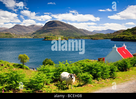 Un chalet, à proximité de Ardheslaig, Loch Shieldaig, Torridon, Ross et Cromarty, Highland, Scotland, UK 2009 Banque D'Images