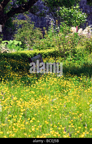 Banquette de jardin dans un cadre isolé d'un jardin de campagne anglaise. Banque D'Images