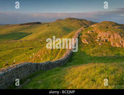 Un tronçon de mur Hadrien s appelé portes épineux près de l'écart des TCA dans le Parc National de Northumberland, Angleterre Banque D'Images