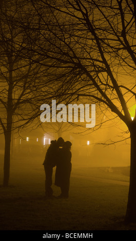 Un couple s'embrasser sous un arbre dans un parc sur une nuit de brouillard Banque D'Images