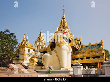 Le Myanmar, Birmanie, Yangon. Chinthe (la moitié lion, moitié dragon tuteurs) à l'entrée d'Shwedagan Golden Temple. Banque D'Images