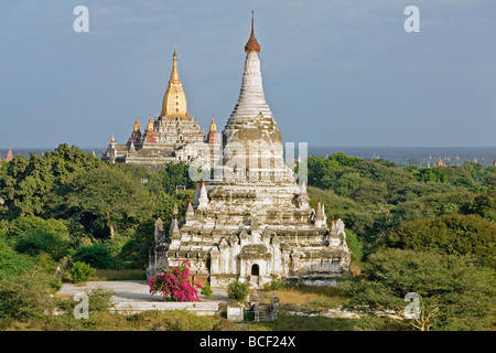 Le Myanmar. La Birmanie. Bagan. Temples bouddhistes antiques de la plaine centrale à Bagan prises à partir de la 12e siècle Temple Shwegugyi. Banque D'Images