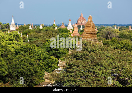 Le Myanmar. La Birmanie. Bagan. Temples bouddhistes antiques sur la plaine centrale de Bagan. Banque D'Images