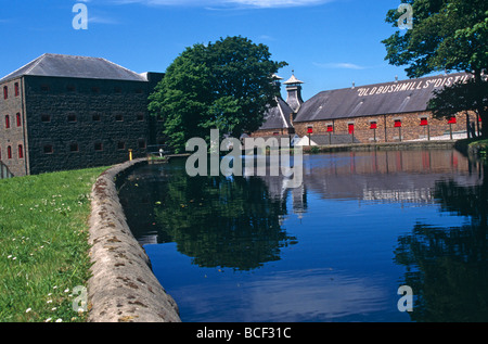 L'Irlande du Nord, County Antrim. La Distillerie de Bushmills, Bushmills, Irlande du Nord, Royaume-Uni Banque D'Images